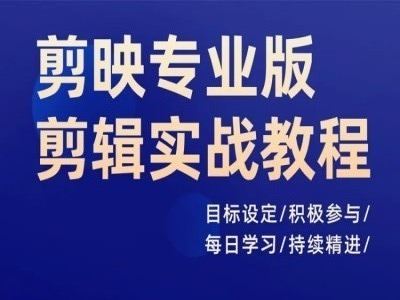 剪映专业版剪辑实战教程，目标设定/积极参与/每日学习/持续精进-大鱼聊项目