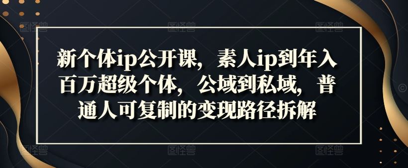 新个体ip公开课，素人ip到年入百万超级个体，公域到私域，普通人可复制的变现路径拆解-大鱼聊项目