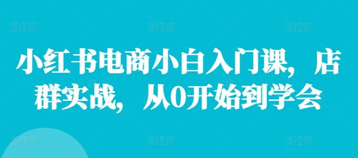 小红书电商小白入门课，店群实战，从0开始到学会-大鱼聊项目