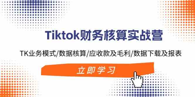 Tiktok财务核算实战营：TK业务模式/数据核算/应收款及毛利/数据下载及报表-大鱼聊项目