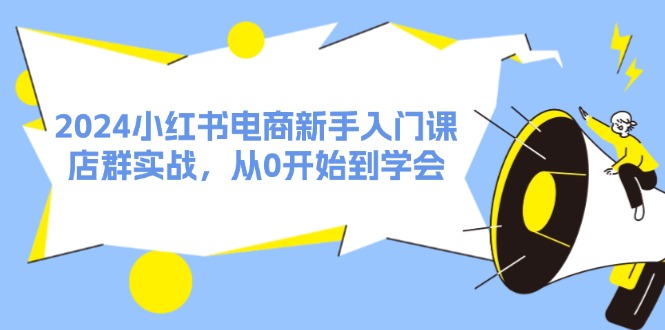 2024小红书电商新手入门课，店群实战，从0开始到学会（31节）-大鱼聊项目