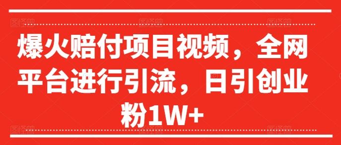 爆火赔付项目视频，全网平台进行引流，日引创业粉1W+【揭秘】-大鱼聊项目