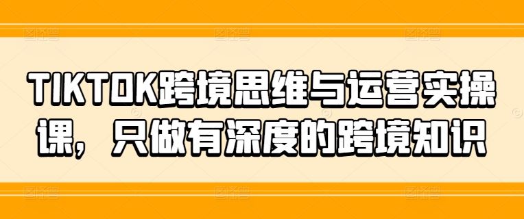 TIKTOK跨境思维与运营实操课，只做有深度的跨境知识-大鱼聊项目