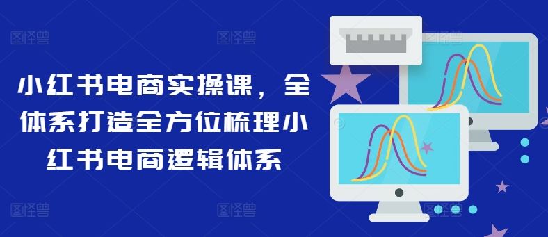 小红书电商实操课，全体系打造全方位梳理小红书电商逻辑体系-大鱼聊项目