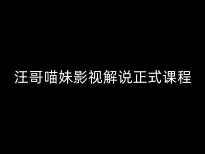 汪哥影视解说正式课程：剪映/PR教学/视解说剪辑5大黄金法则/全流程剪辑7把利器等等-大鱼聊项目