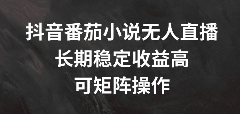 抖音番茄小说无人直播，长期稳定收益高，可矩阵操作【揭秘】-大鱼聊项目