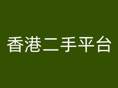 香港二手平台vintans电商，跨境电商教程-大鱼聊项目