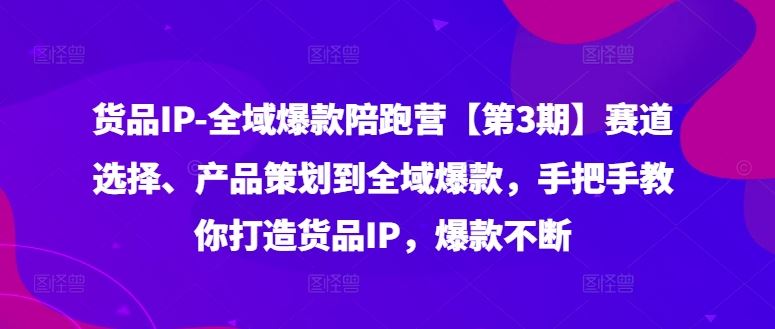 货品IP全域爆款陪跑营【第3期】赛道选择、产品策划到全域爆款，手把手教你打造货品IP，爆款不断-大鱼聊项目