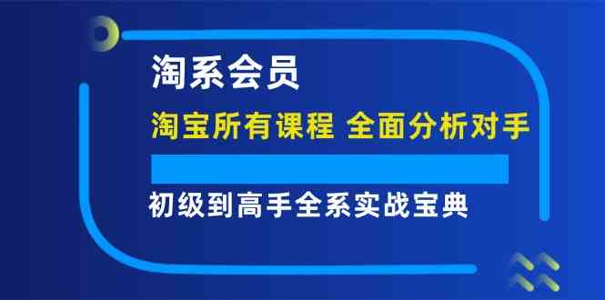 淘系会员初级到高手全系实战宝典【淘宝所有课程，全面分析对手】-大鱼聊项目