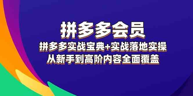 拼多多会员实战宝典+实战落地实操，从新手到高阶内容全面覆盖-大鱼聊项目