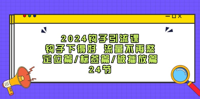 （12097期）2024钩子·引流课：钩子下得好 流量不再愁，定位篇/标签篇/破播放篇/24节-大鱼聊项目