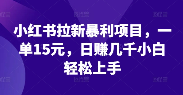 小红书拉新暴利项目，一单15元，日赚几千小白轻松上手-大鱼聊项目