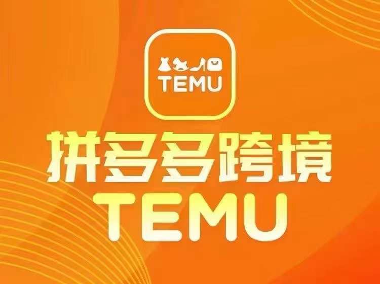 最新TEMU拼多多跨境教程，开店、运营、选品-大鱼聊项目