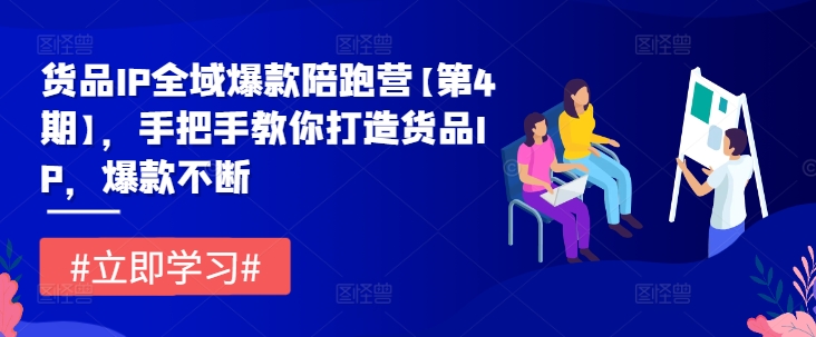 货品IP全域爆款陪跑营【第4期】，手把手教你打造货品IP，爆款不断-大鱼聊项目
