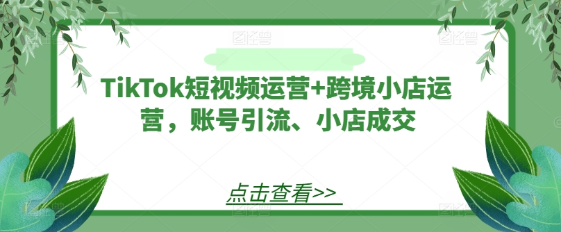 TikTok短视频运营+跨境小店运营，账号引流、小店成交-大鱼聊项目