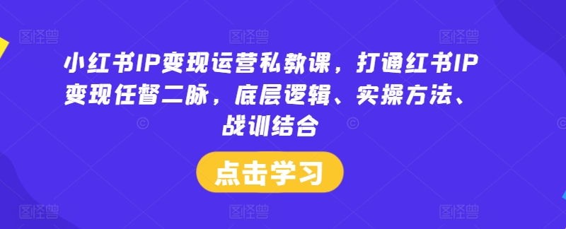 小红书IP变现运营私教课，打通红书IP变现任督二脉，底层逻辑、实操方法、战训结合-大鱼聊项目