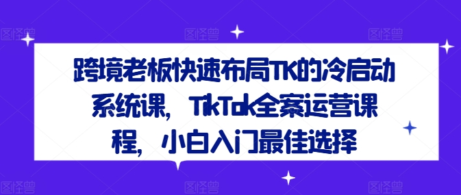 跨境老板快速布局TK的冷启动系统课，TikTok全案运营课程，小白入门最佳选择-大鱼聊项目
