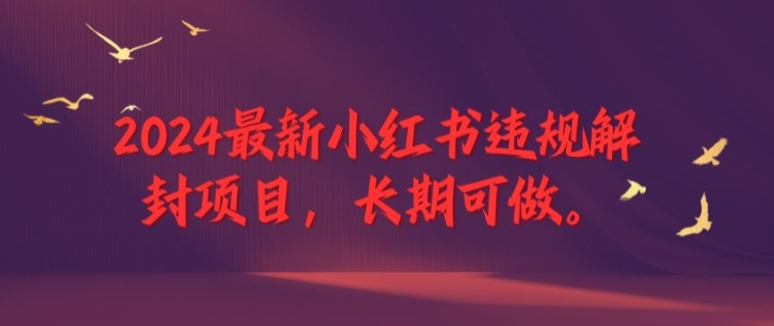 2024最新小红书违规解封项目，长期可做，一个可以做到退休的项目-大鱼聊项目