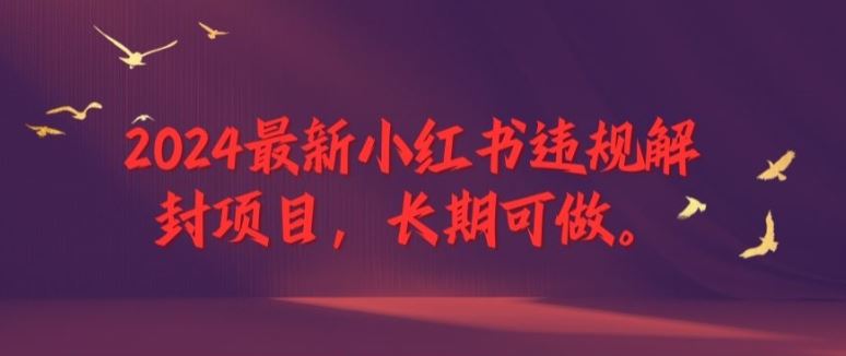 2024最新小红书违规解封项目，长期可做，一个可以做到退休的项目【揭秘】-大鱼聊项目