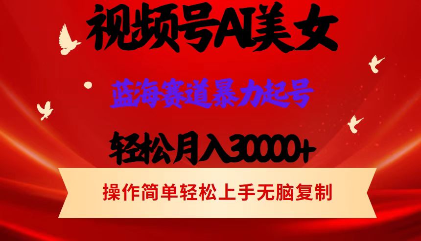 （12178期）视频号AI美女跳舞，轻松月入30000+，蓝海赛道，流量池巨大，起号猛，当…-大鱼聊项目