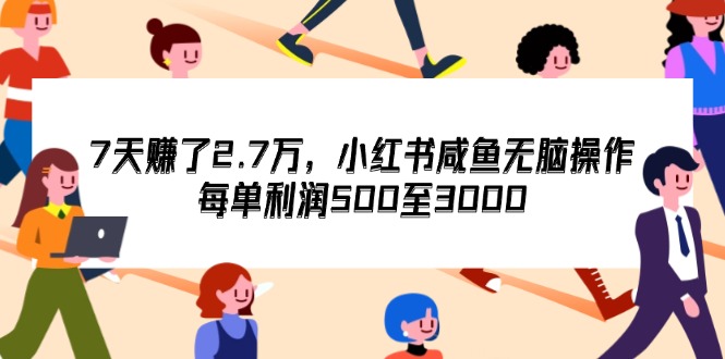 （12192期）7天收了2.7万，小红书咸鱼无脑操作，每单利润500至3000-大鱼聊项目
