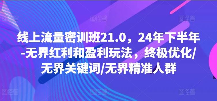 线上流量密训班21.0，24年下半年-无界红利和盈利玩法，终极优化/无界关键词/无界精准人群-大鱼聊项目