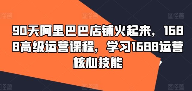 90天阿里巴巴店铺火起来，1688高级运营课程，学习1688运营核心技能-大鱼聊项目