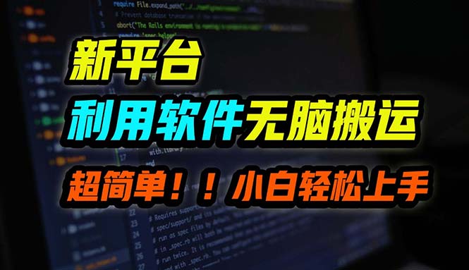 （12203期）B站平台用软件无脑搬运，月赚10000+，小白也能轻松上手-大鱼聊项目