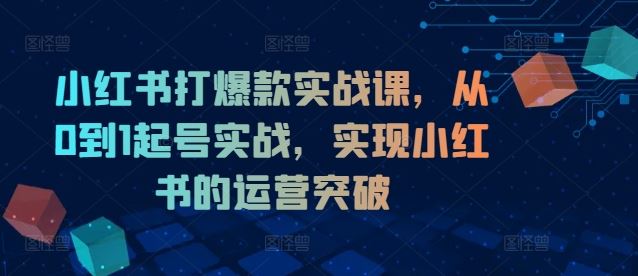 小红书打爆款实战课，从0到1起号实战，实现小红书的运营突破-大鱼聊项目
