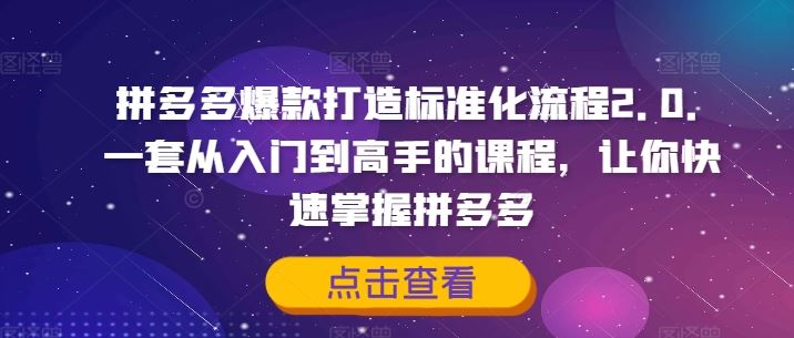 拼多多爆款打造标准化流程2.0，一套从入门到高手的课程，让你快速掌握拼多多-大鱼聊项目