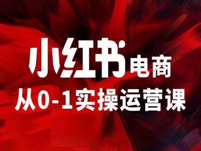 小红书电商从0-1实操运营课，让你从小白到精英-大鱼聊项目