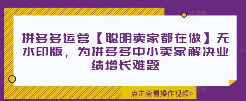 拼多多运营【聪明卖家都在做】无水印版，为拼多多中小卖家解决业绩增长难题-大鱼聊项目