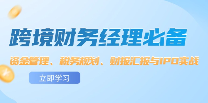 （12323期）跨境 财务经理必备：资金管理、税务规划、财报汇报与IPO实战-大鱼聊项目