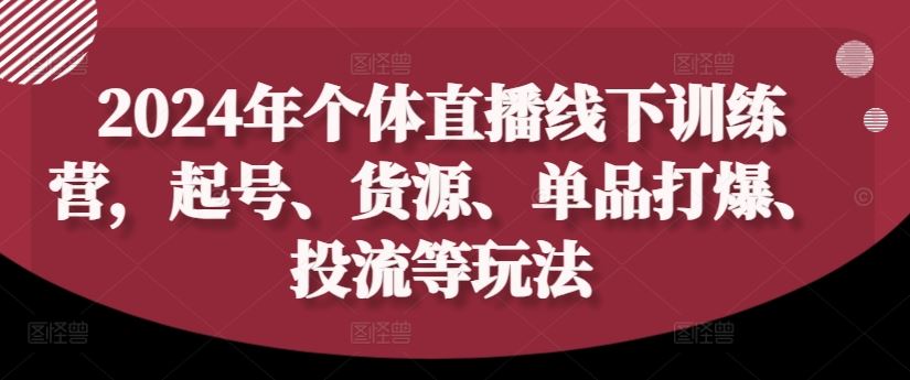 2024年个体直播训练营，起号、货源、单品打爆、投流等玩法-大鱼聊项目