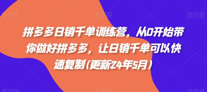 拼多多日销千单训练营，从0开始带你做好拼多多，让日销千单可以快速复制(更新24年8月)-大鱼聊项目