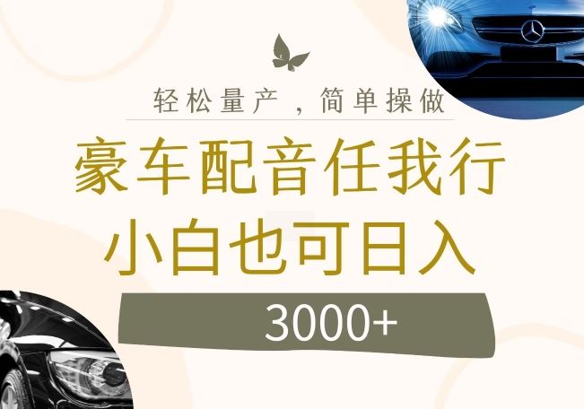 不为人知的暴力小项目，豪车配音，日入几张【揭秘】-大鱼聊项目