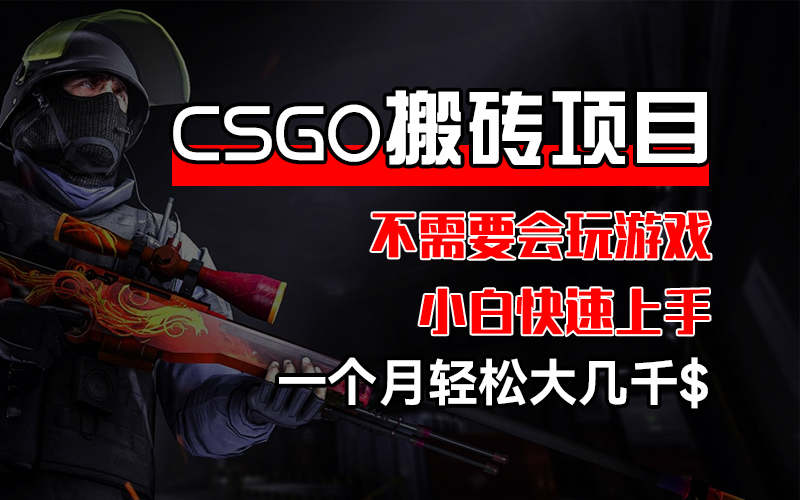 （12332期）CSGO 装备搬砖项目，操作简单，不需要会玩游戏，小白也能快速上手，一…-大鱼聊项目