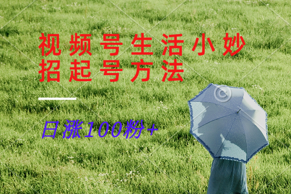 视频号生活小妙招分享赛道， 起号涨粉新方法，日涨100粉-大鱼聊项目