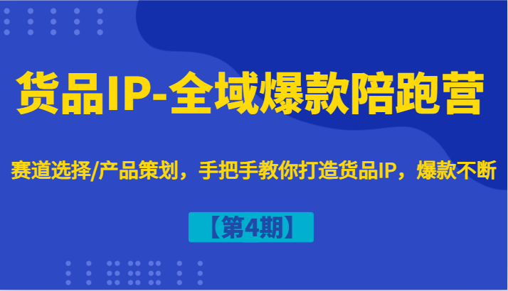 货品IP-全域爆款陪跑营【第4期】赛道选择/产品策划，手把手教你打造货品IP，爆款不断-大鱼聊项目