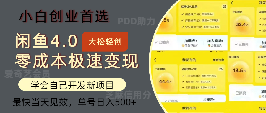 （12434期）闲鱼0成本极速变现项目，多种变现方式 单号日入500+最新玩法-大鱼聊项目