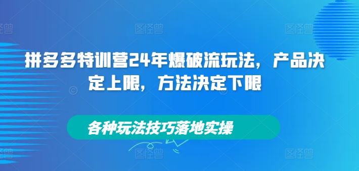 拼多多特训营24年爆破流玩法，产品决定上限，方法决定下限，各种玩法技巧落地实操-大鱼聊项目