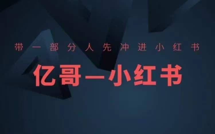 ​​带一部分人先冲进小红书，小红书开店、选品、爆款裂变-大鱼聊项目