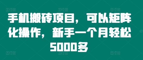手机搬砖项目，可以矩阵化操作，新手一个月轻松5000多-大鱼聊项目