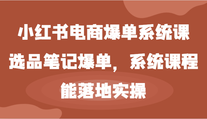 小红书电商爆单系统课-选品笔记爆单，系统课程，能落地实操-大鱼聊项目