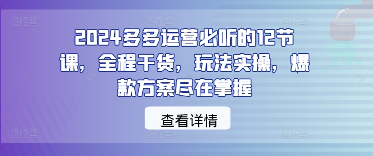 2024多多运营必听的12节课，全程干货，玩法实操，爆款方案尽在掌握-大鱼聊项目