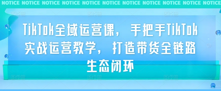 TikTok全域运营课，手把手TikTok实战运营教学，打造带货全链路生态闭环-大鱼聊项目