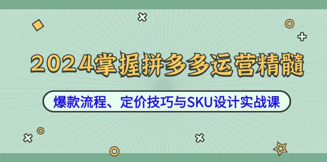 2024掌握拼多多运营精髓：爆款流程、定价技巧与SKU设计实战课-大鱼聊项目