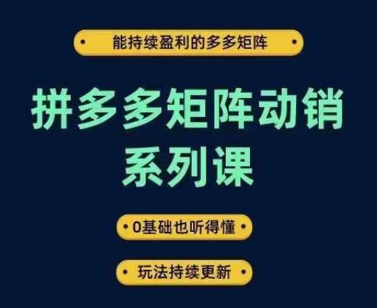 拼多多矩阵动销系列课，能持续盈利的多多矩阵，0基础也听得懂，玩法持续更新-大鱼聊项目
