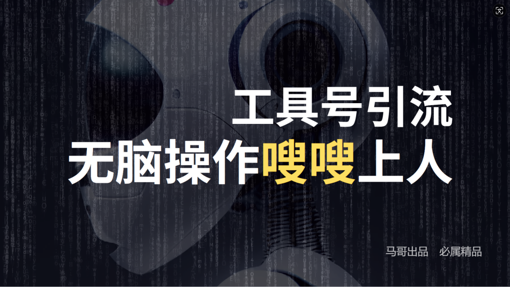 24年抖音最新工具号日引流300+创业粉，日入5000+-大鱼聊项目