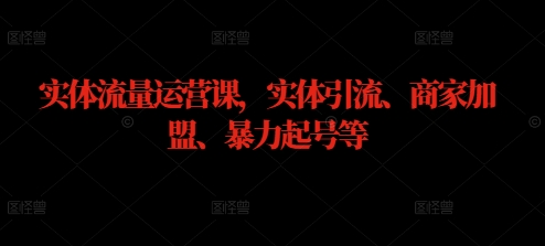 实体流量运营课，实体引流、商家加盟、暴力起号等-大鱼聊项目